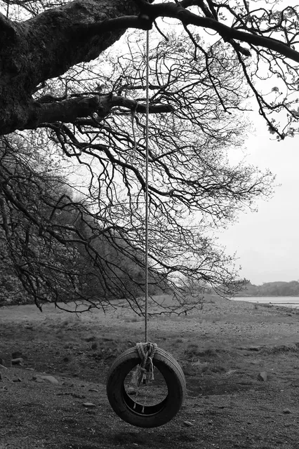 Congo Monkey Playsystem Swing Set#1