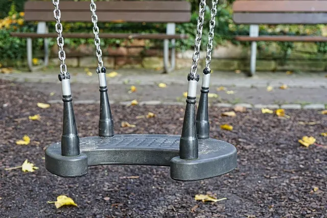 Congo Monkey Playsystem Swing Set #3