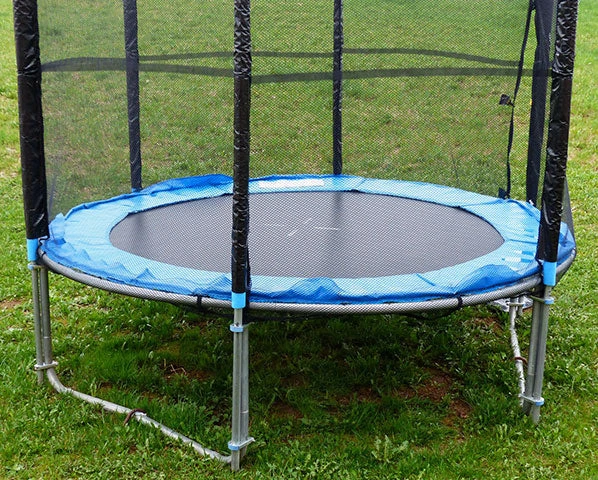 Size and Shape