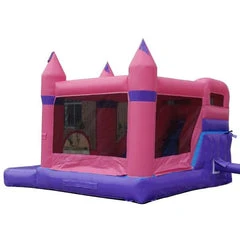 15' Pink Castle Combo Water Slide