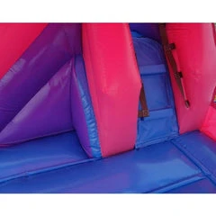 15' Pink Castle Combo Water Slide