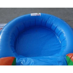 13' H Palm Tree Slide Water Slide