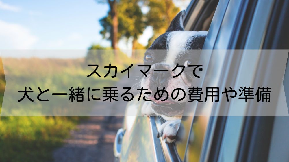 スカイマークで犬と一緒に乗るための費用や準備